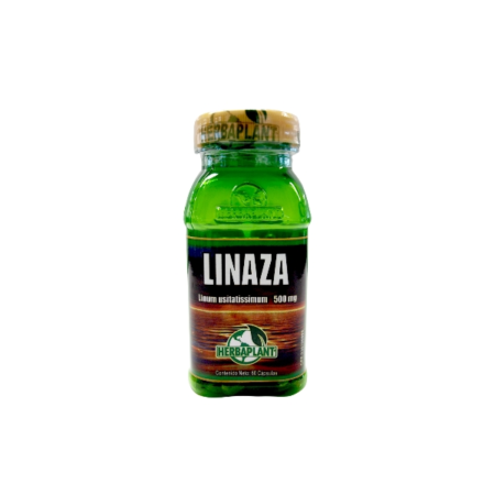 LINAZA  X 60 CAPSULAS HERBAPLANT